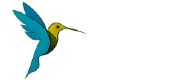Zunzun.media